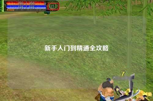 新手入门到精通全攻略